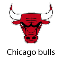 Chicago Bull